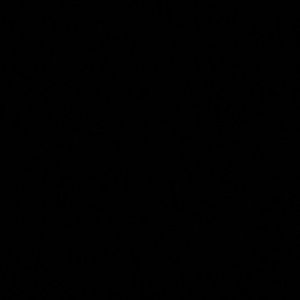 Meet your Posher, Adrienne